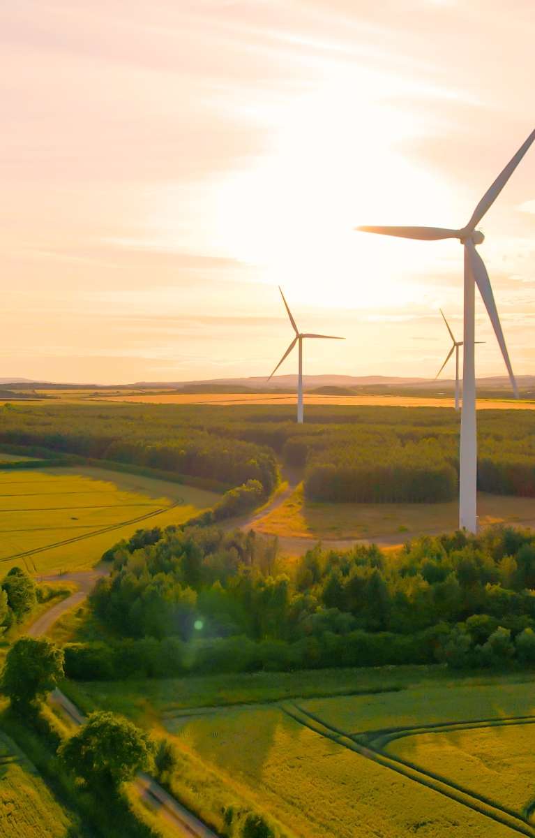 Shutterstock 2444426929