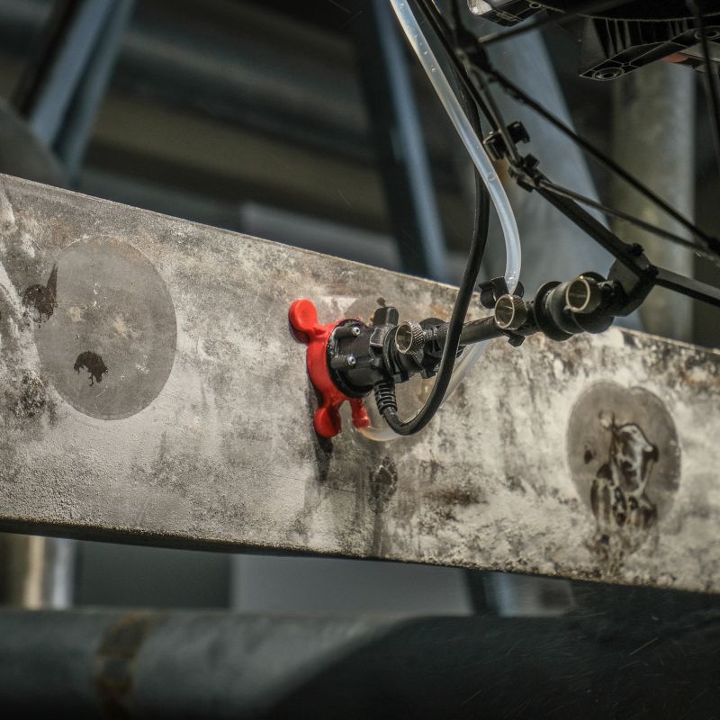 Calum Henderson DSCF5782