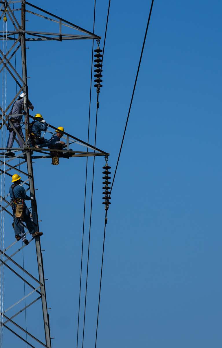 Shutterstock 1379353070