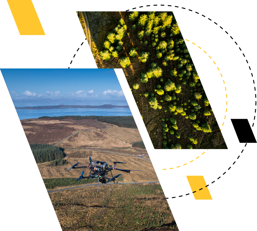 Geospatial surveys crosslink