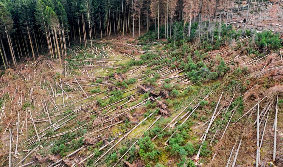 Shutterstock 1656828070